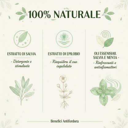 Infografica ingredienti naturali Shampoo Antiforfora DiksoNatura - Salvia Epilobio Menta 100% Bio